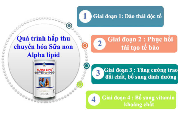4 giai đoạn hấp thu sữa non Alpha Lipid Lifeline
